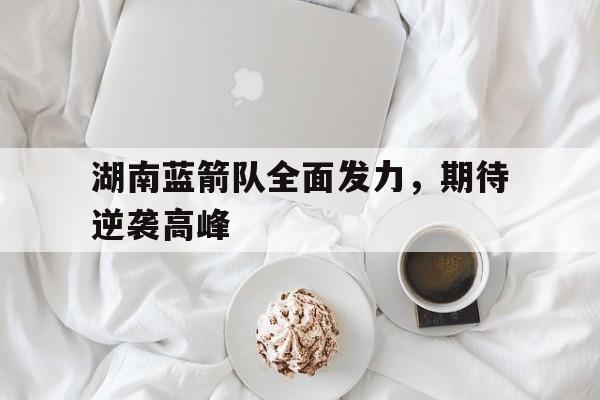 开云体育官网-湖南蓝箭队全面发力，期待逆袭高峰