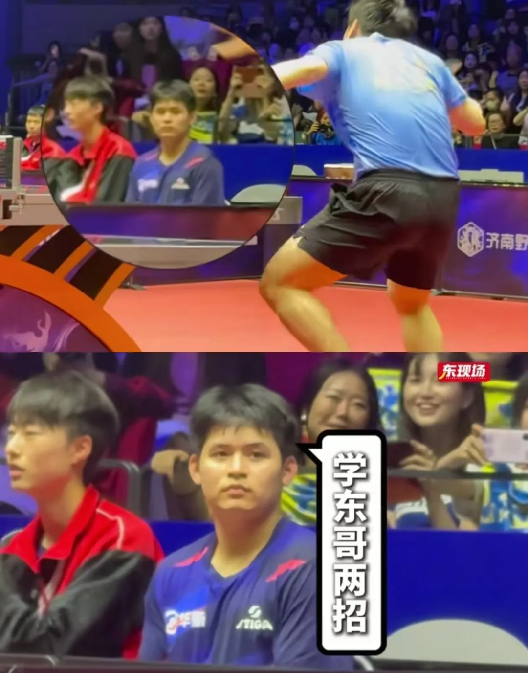 开云体育官网-比利时乒乓球队碾压日本乒乓球队,许昕制霸全场的简单介绍