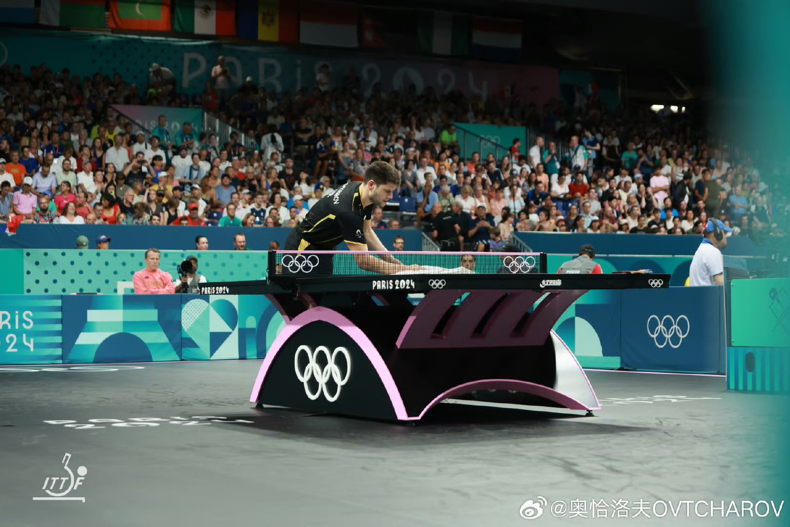 开云下载-德国乒乓球队横扫波兰乒乓球队,奥恰洛夫惊艳世界的简单介绍