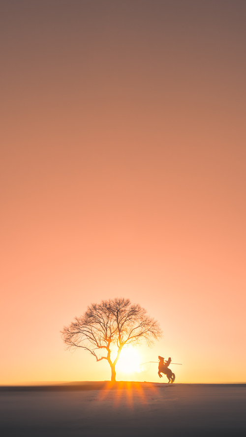 马克西无争议全场最佳，森林狼激战辽宁队彰显篮球魅力