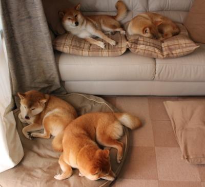 开云体育官网-皮克关键一击，牙买加最后时刻绝杀尤文