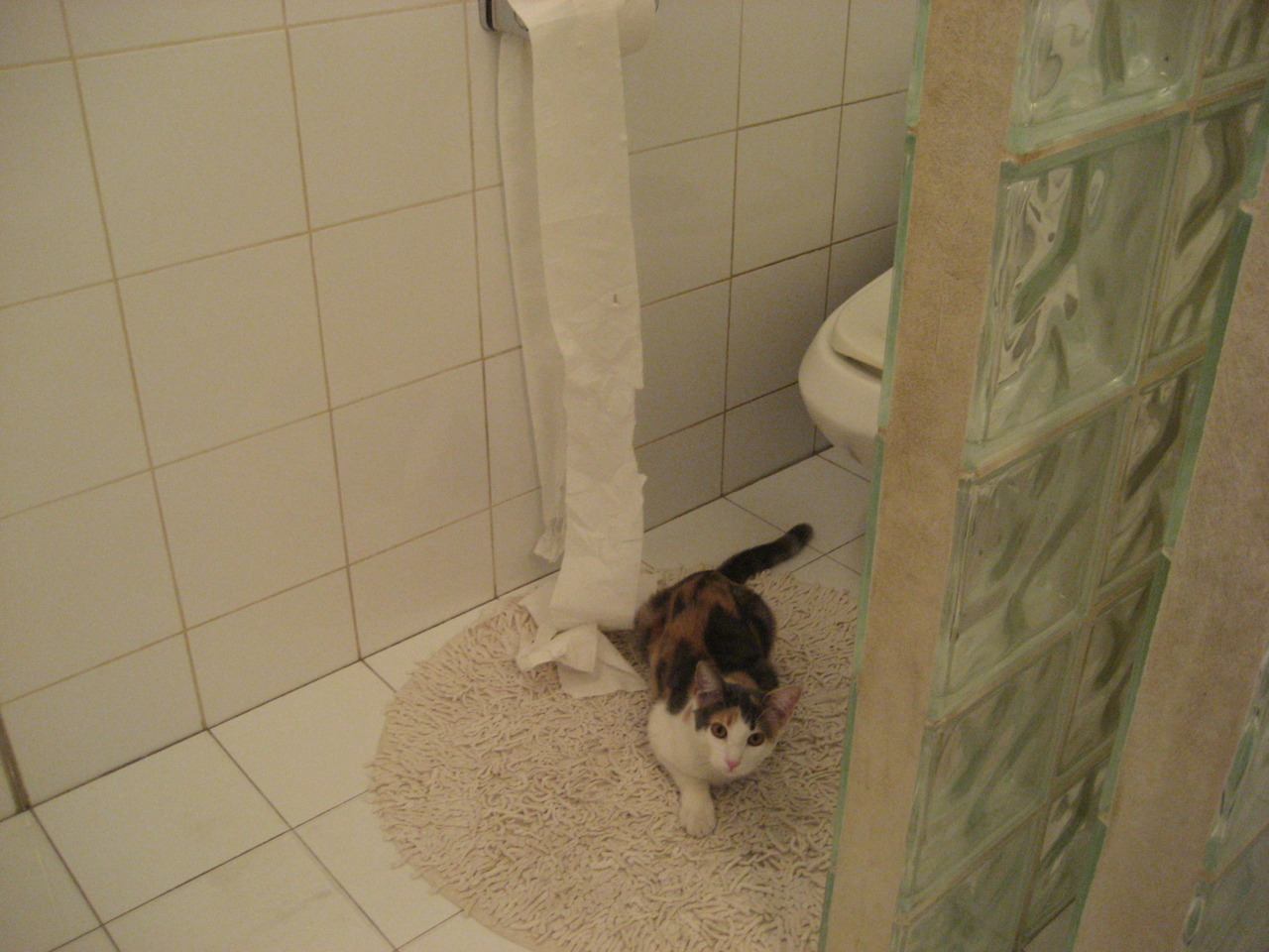 跨界灵感，NBA季后赛焦点的多特蒙德式爆发