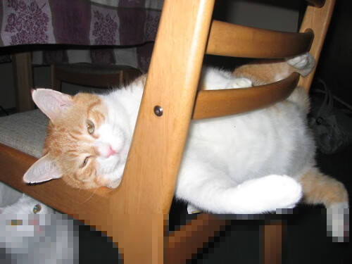 开云APP-被击溃的堡垒，当金玟哉成为瑞士防线崩塌的关键先生