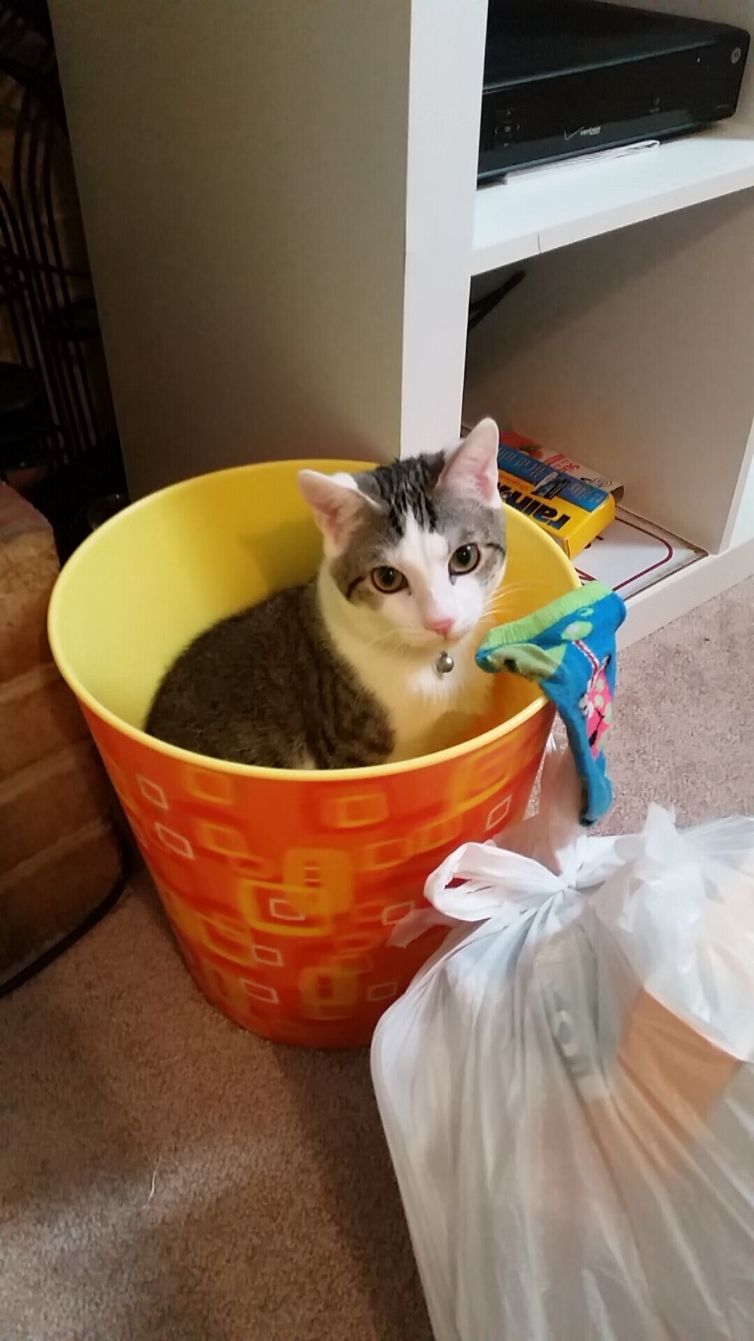 跨时空博弈，当戈贝尔的笼罩在雄鹿与热火的火焰之上