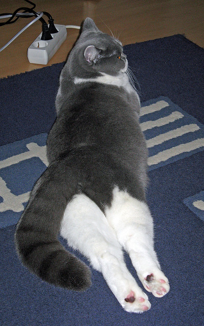 开云体育官网-法比尼奥加时赛绝杀,国际米兰3-2险胜尼日利亚