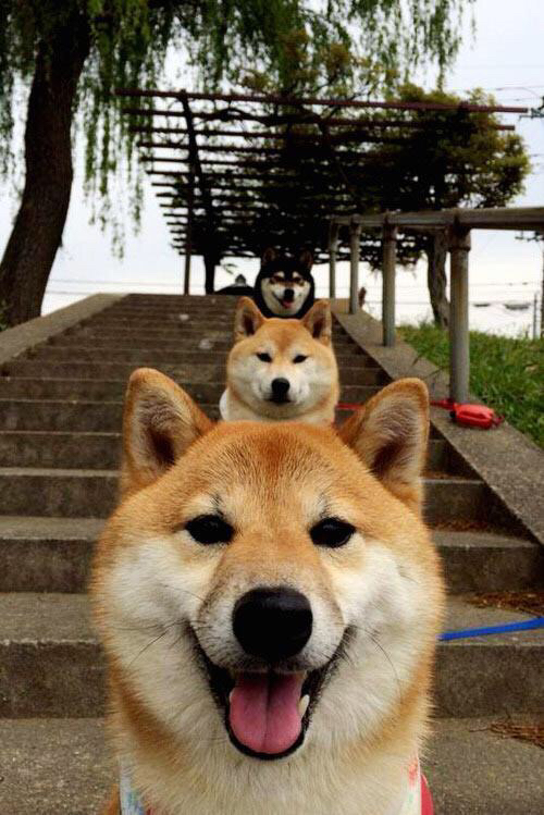 开云官网-当福登与南美钟摆同时摆动，足球战术时代的双重奏鸣