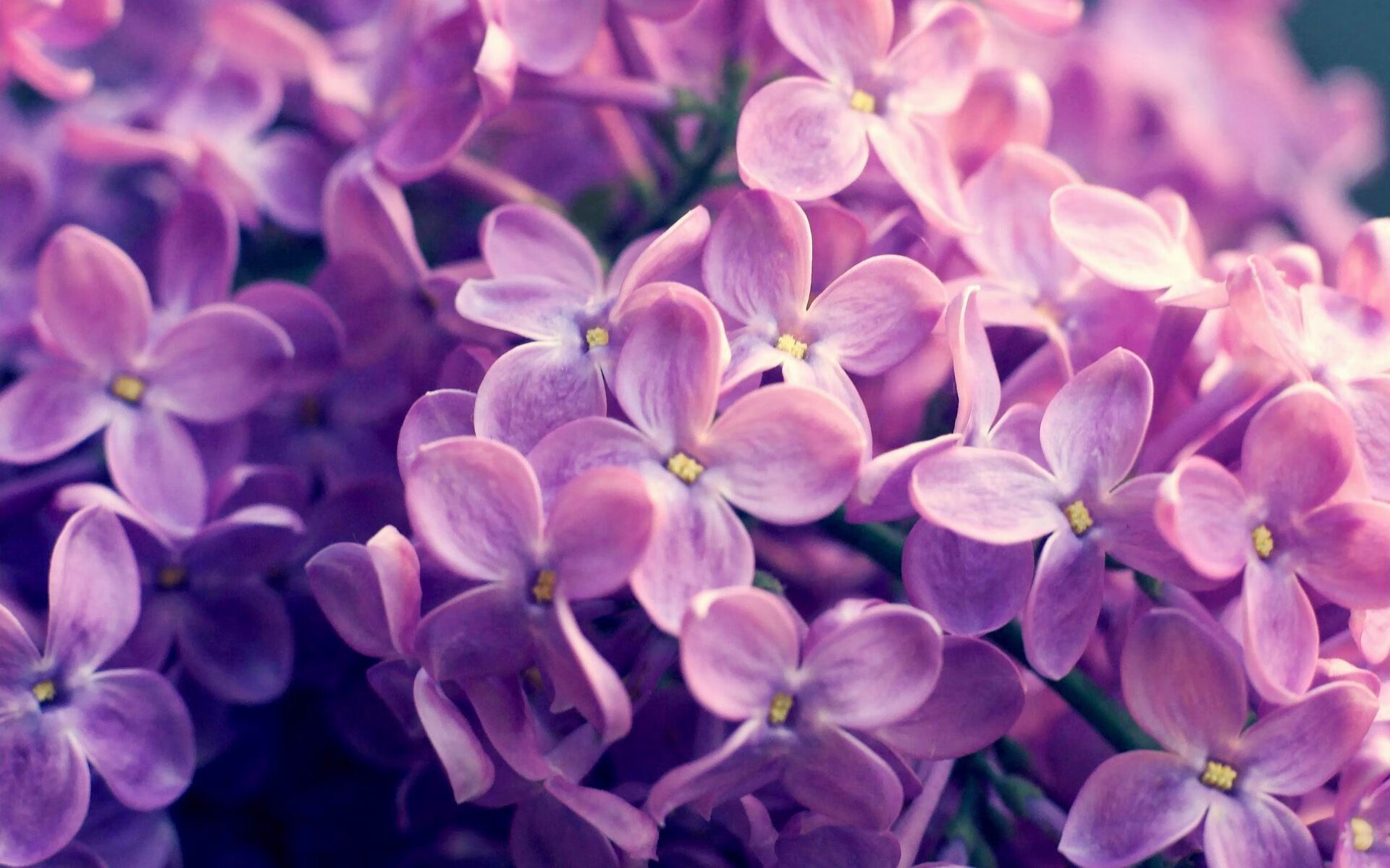 三分钟狂潮,牙买加的热带风暴如何单节撕碎比利时防线