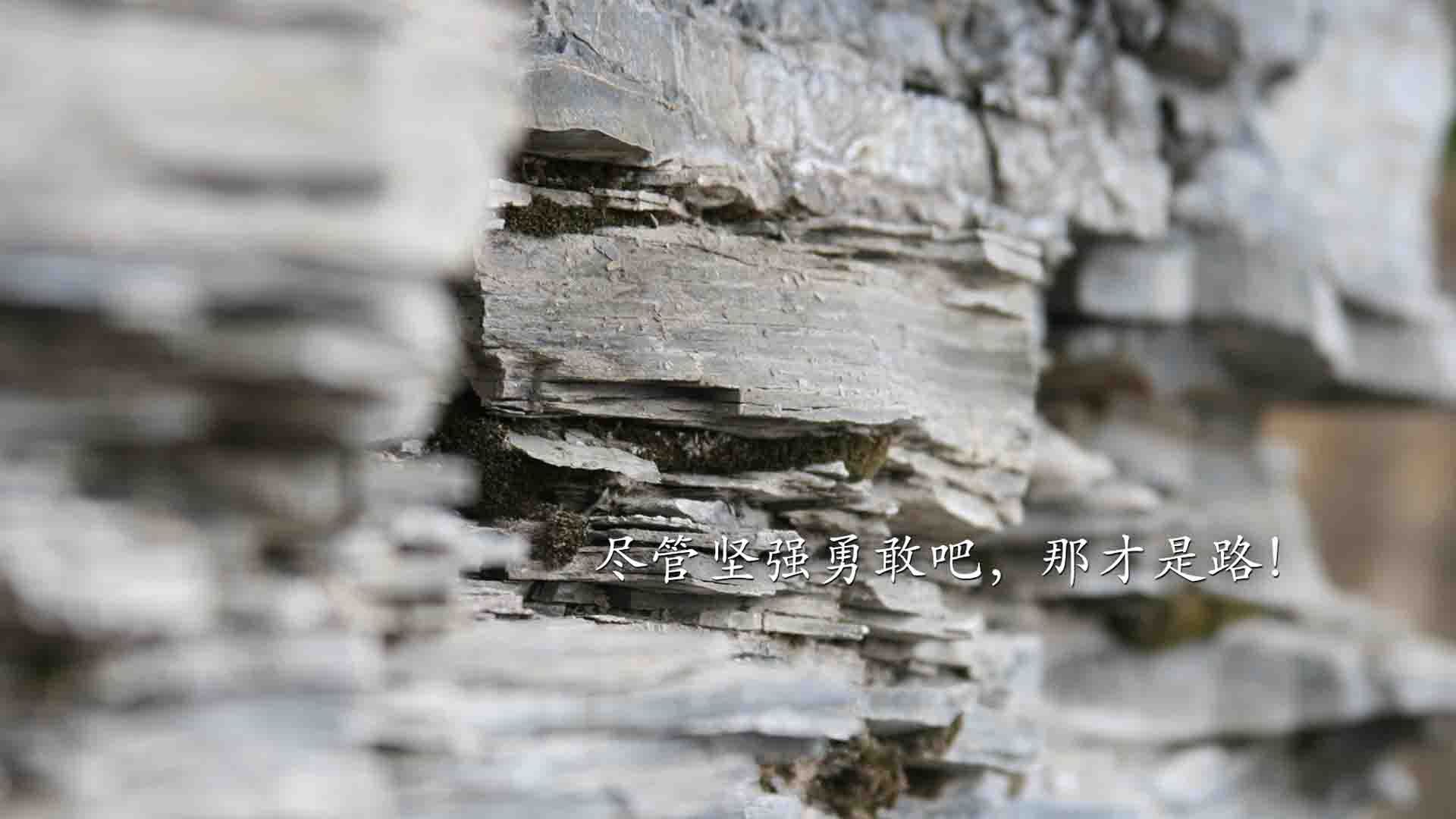 开云体育入口-文班亚马狂砍35+20统治攻防，奇才团队火力全开击溃深圳队