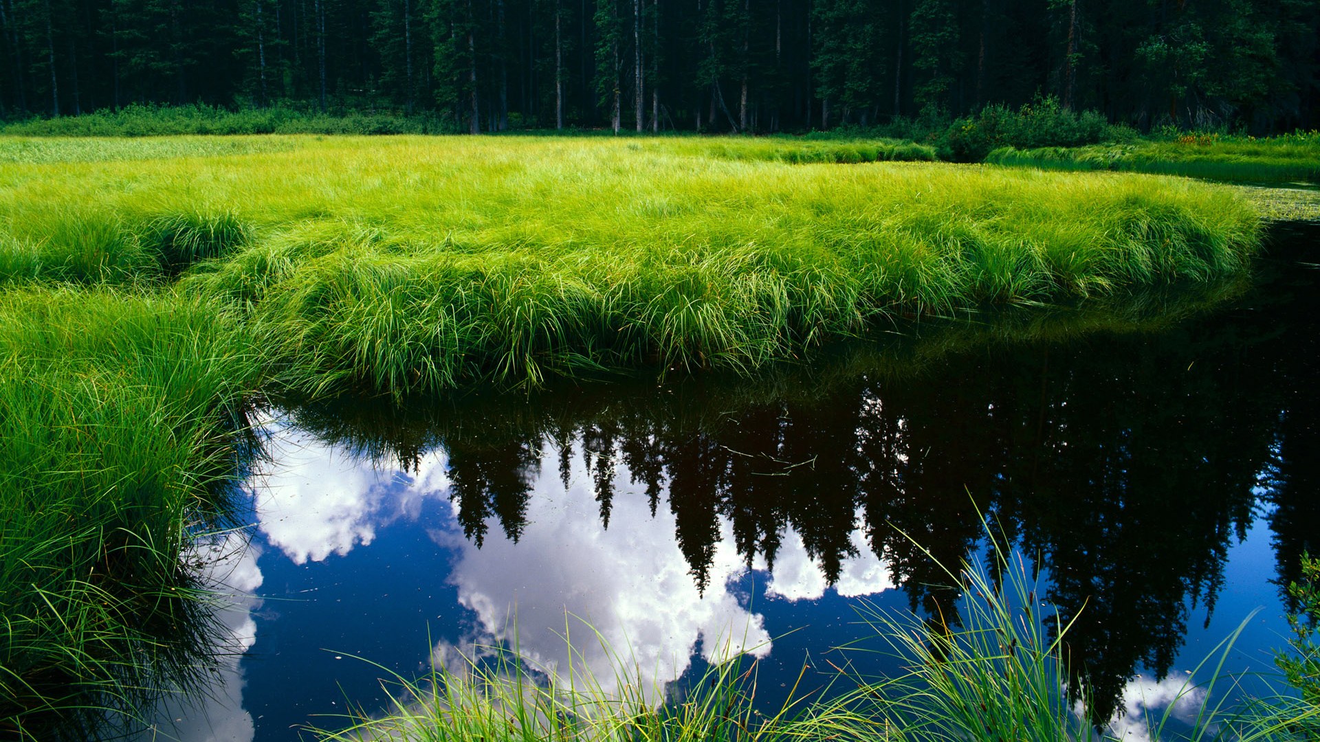 开云体育APP下载-引擎轰鸣与绝杀回响，当F1争冠之夜对话硬仗之王杰伦·格林