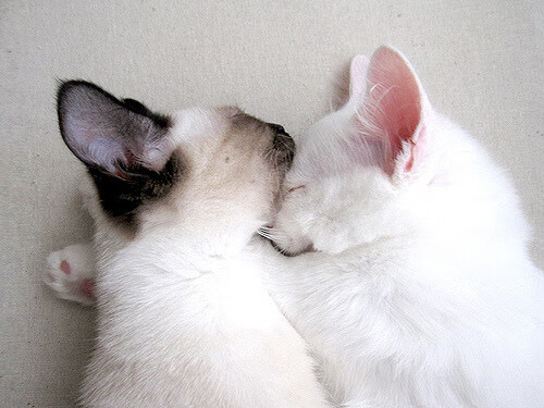 欧冠之夜,皮克用沉默的呼吸证明,后卫的伟业在硝烟散尽后才被看见