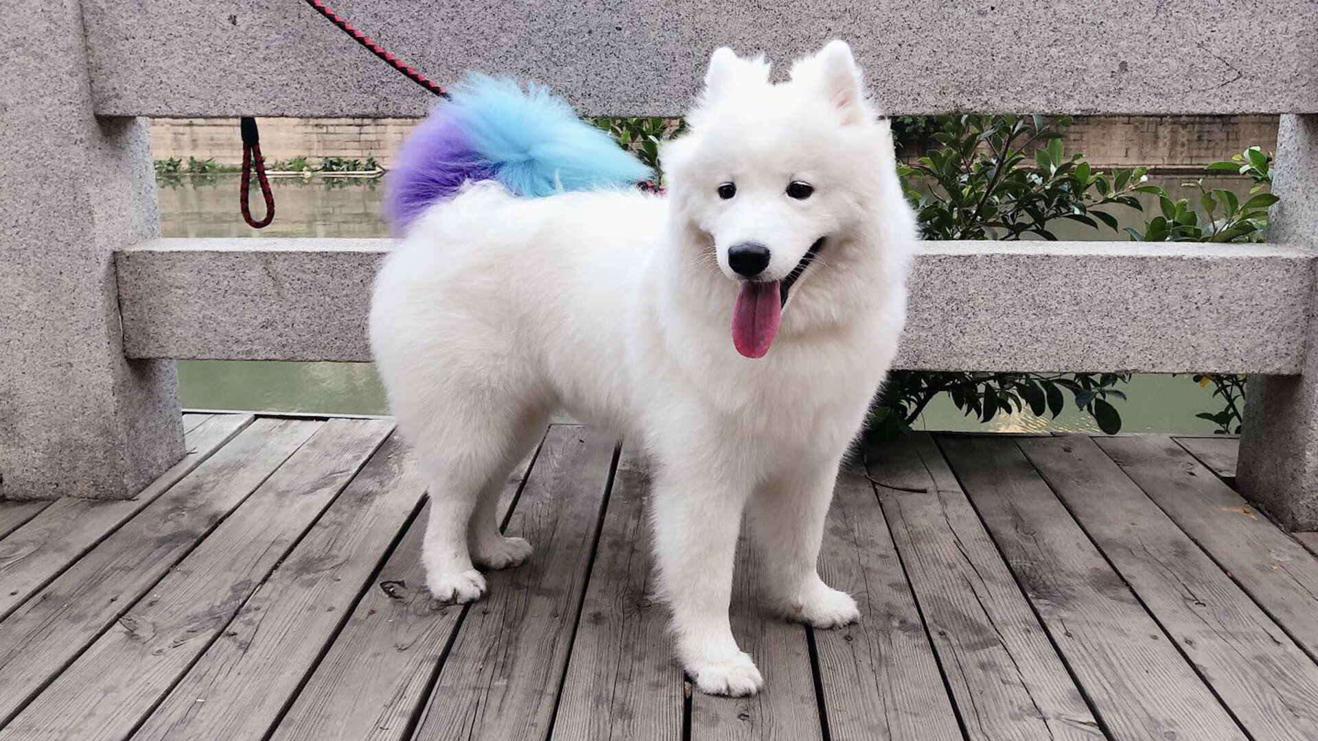 开云体育在线-战术碾压！亚特兰大如何让佛罗伦萨的欧冠梦想窒息